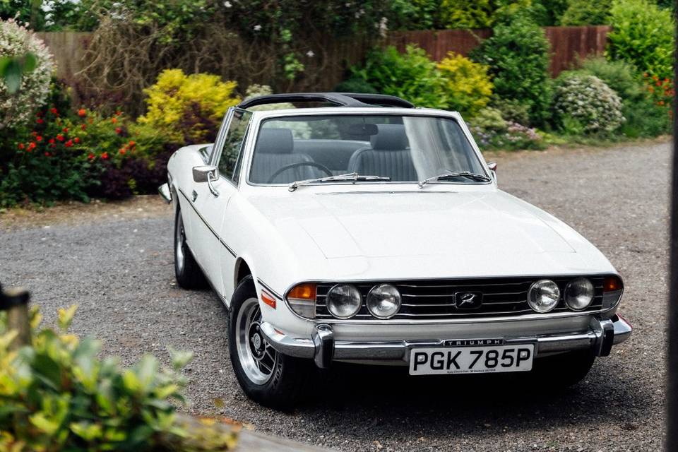 Triumph Stag