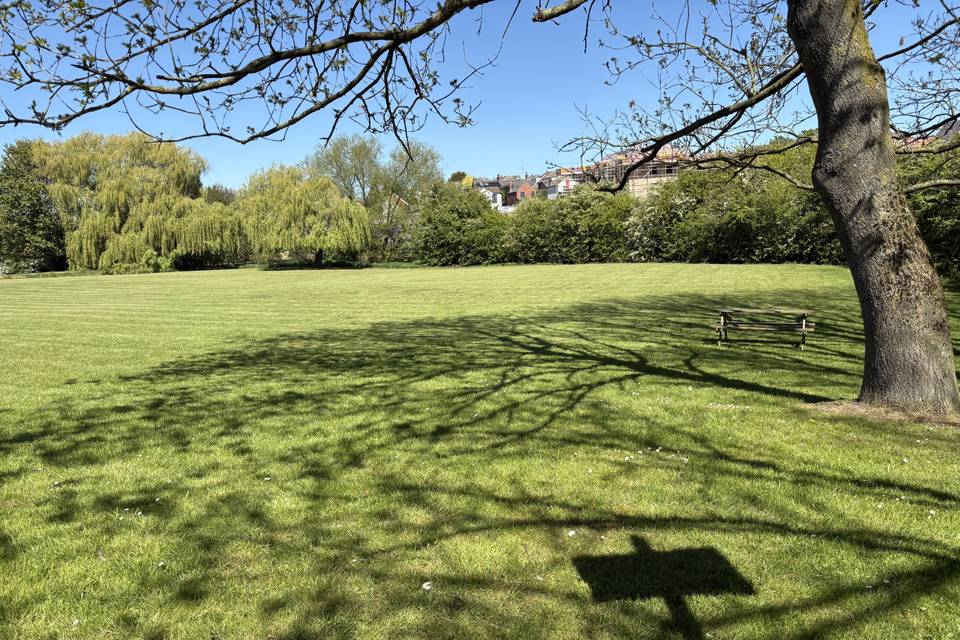 Hotel lawn area