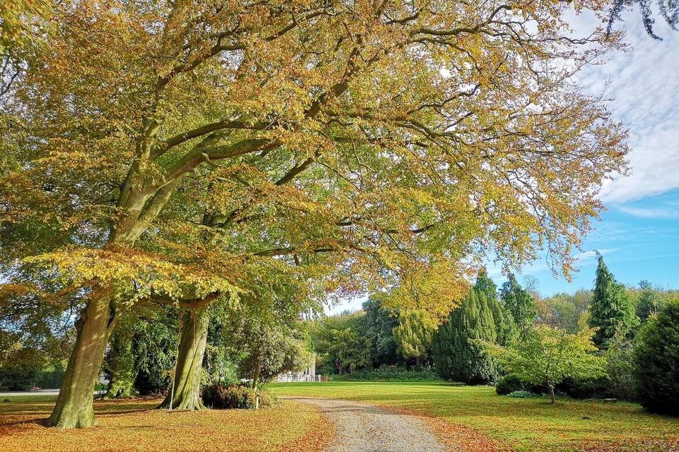 Cleatham Hall