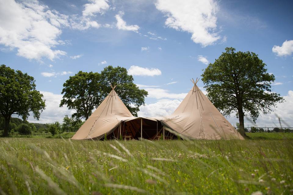 Firefly Tipi's