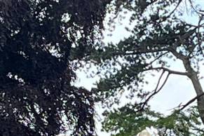 Beautiful day with beautiful p