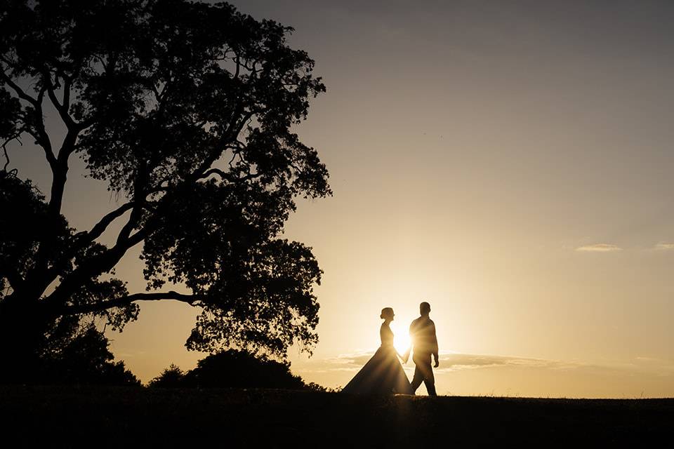 Sunset at Braxted Park