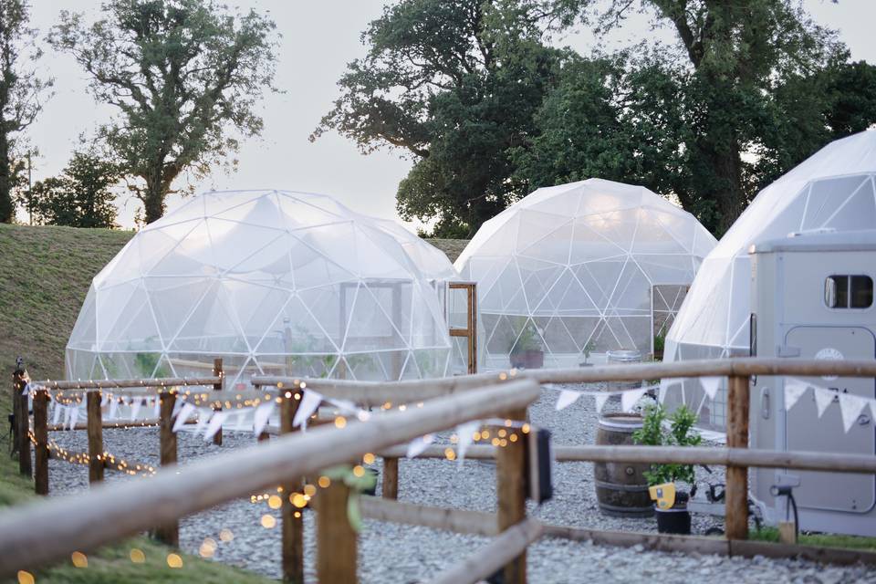 Geodesic domes