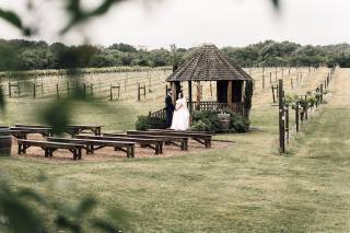 Audrius Creates - Photography & Videography