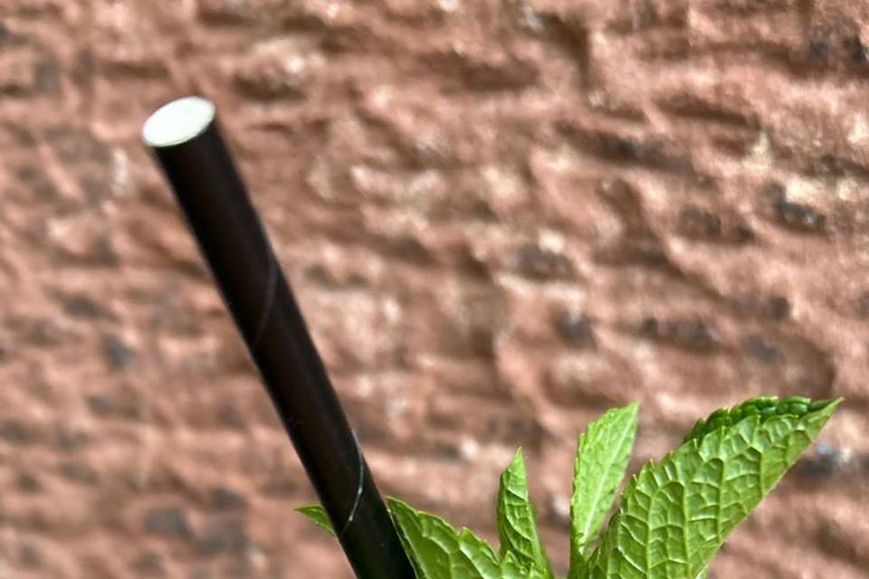 Mojito