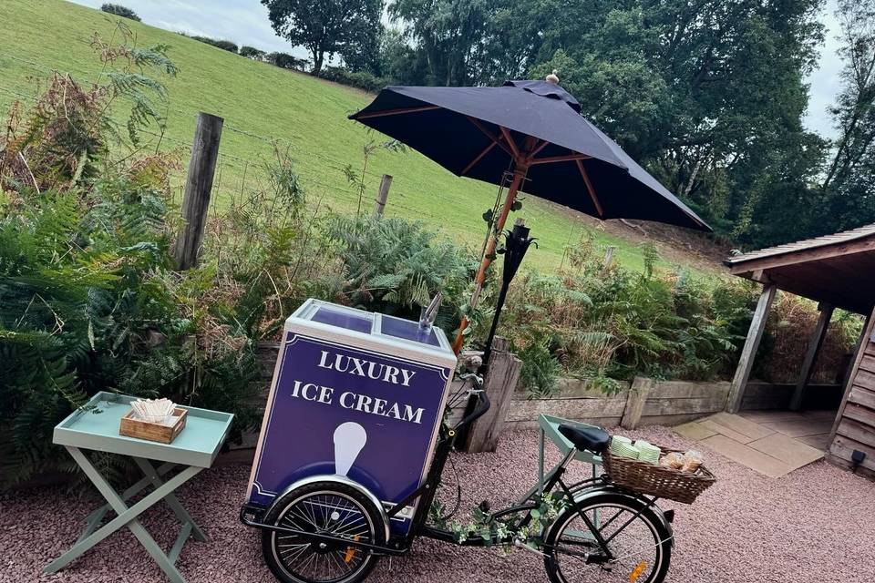 Ice cream tricycle