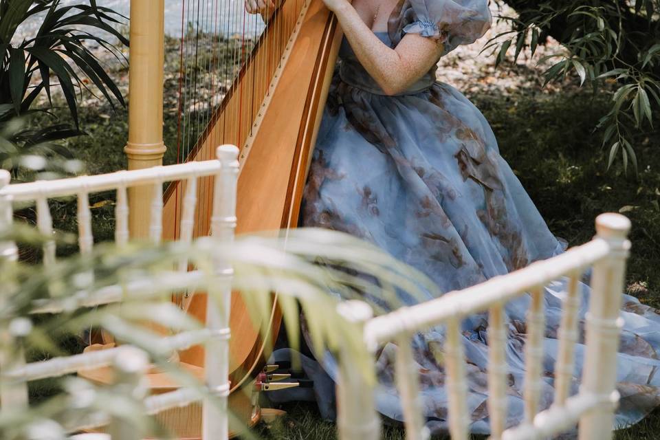 Wedding harpist