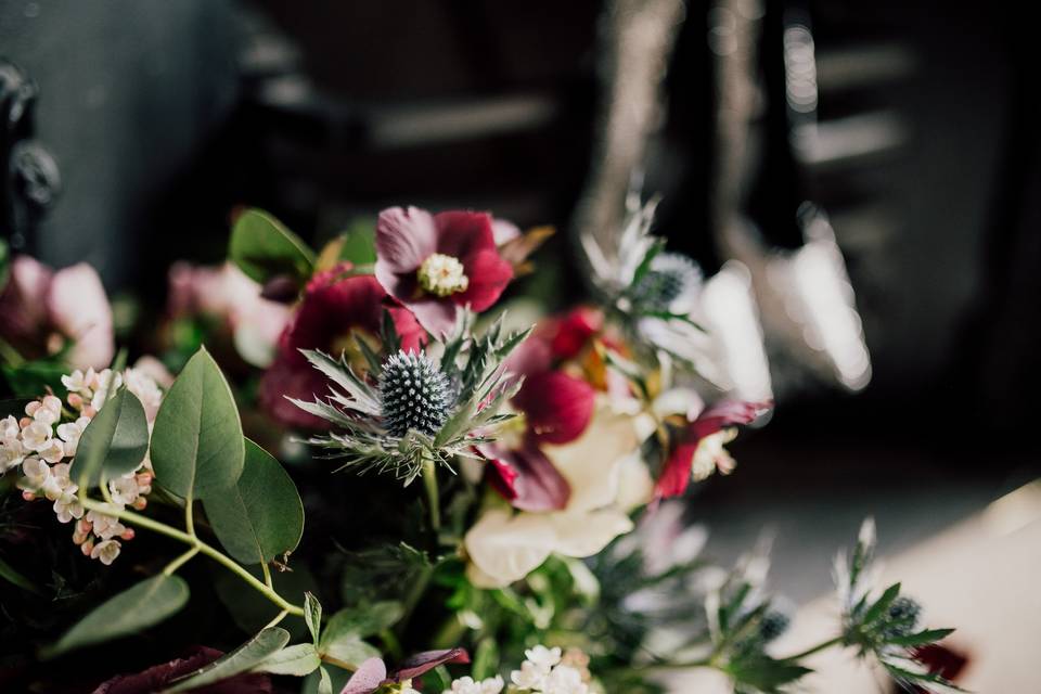 Sea holly and Hellebores