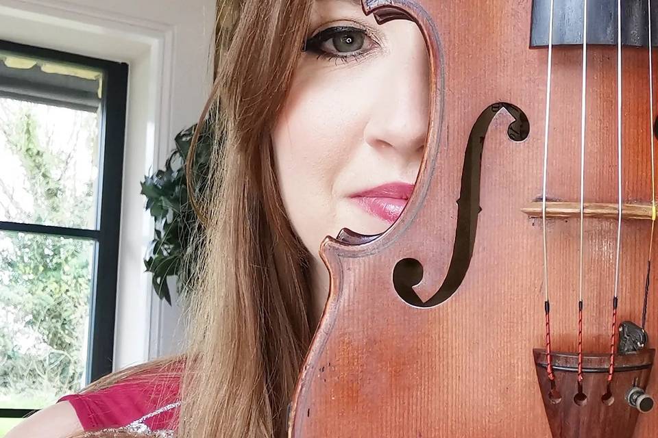 Laura violin