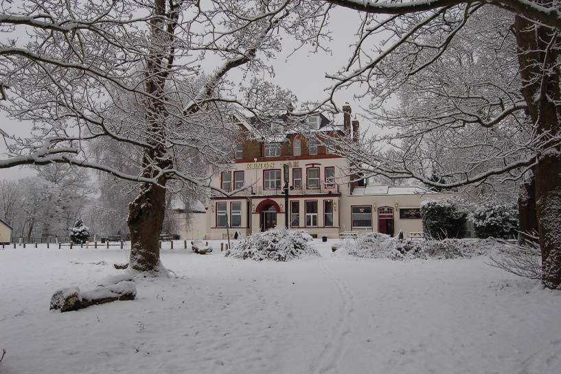 Winter at the Kings Oak