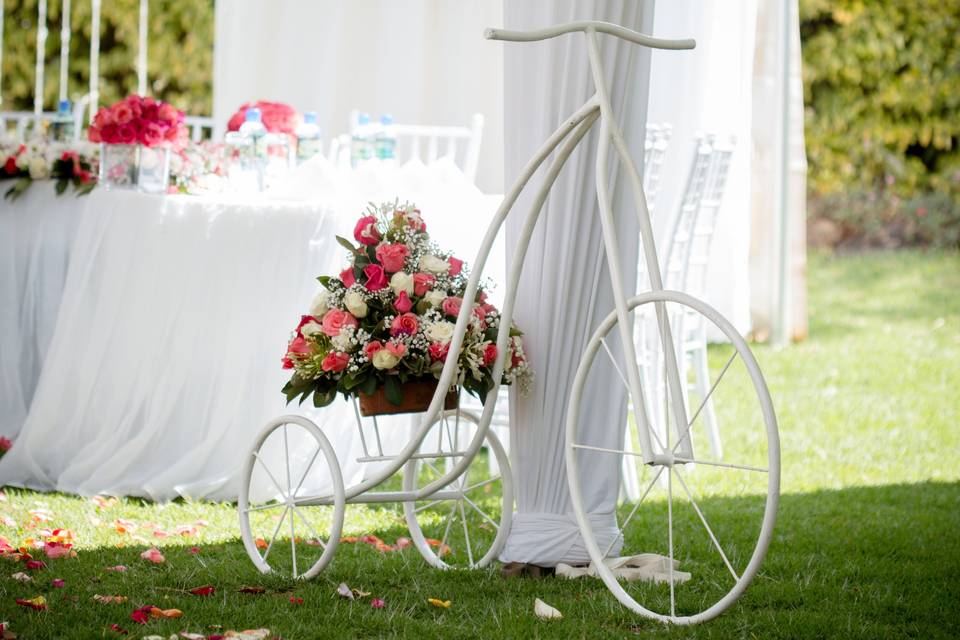 Decor