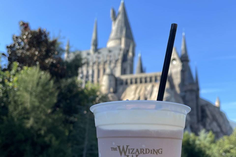 Hogwarts honeymoon!