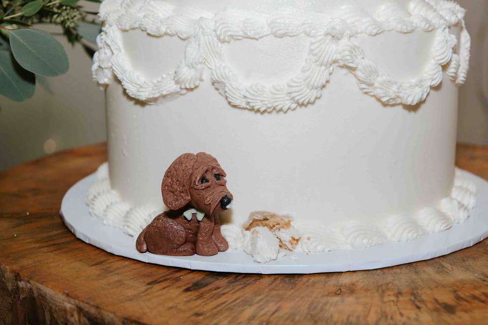 Cake
