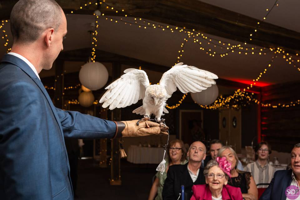 Divine barn owl ring bearer