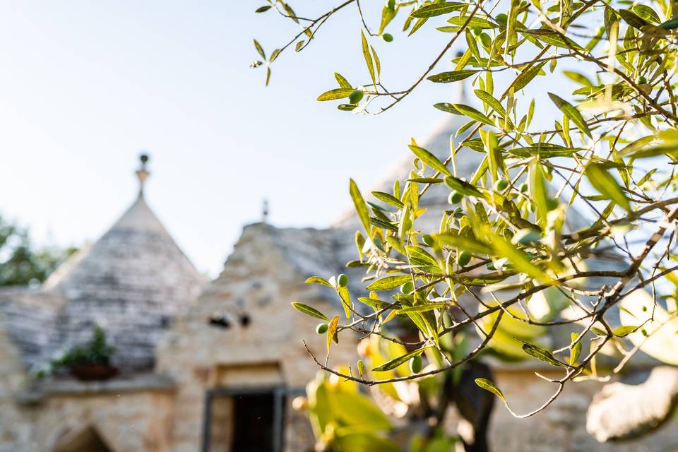 Villa Sopra i Sassi