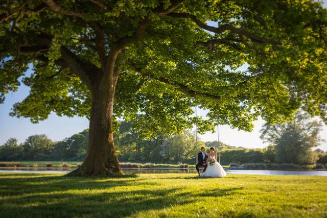 300yr old Oak Tree
