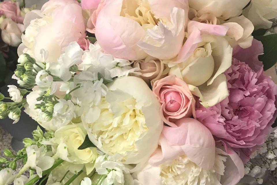 Soft pastel pink flowers