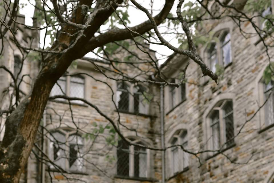 Cake in the Courtyard