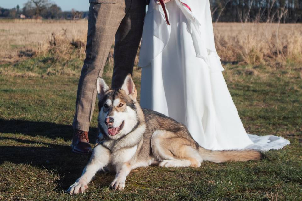 Newlyweds with dog