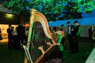 The Enchanted Harp