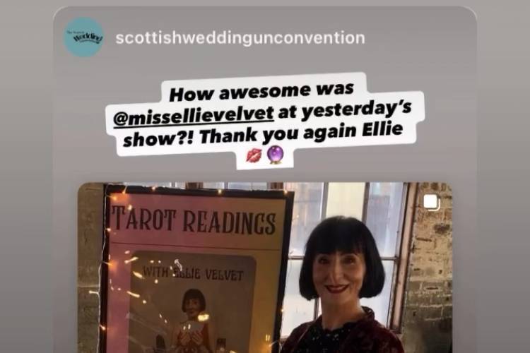 Ellie Velvet Tarot Reader