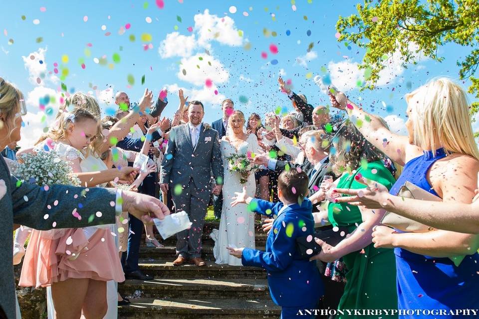 Wedding Party at The Lawn