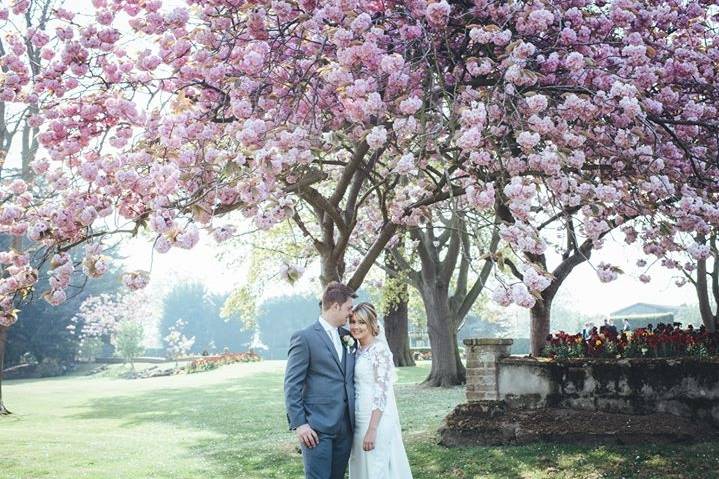 Beautiful gardens at The Lawn