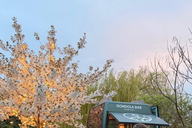 Ski Gondola Wedding Hire