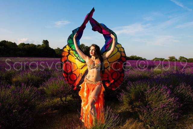 Belly Dance Butterfly Wings