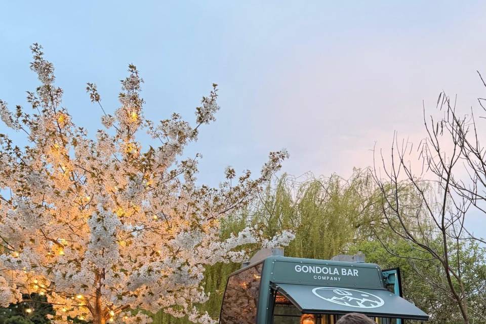 Ski Gondola Wedding Hire