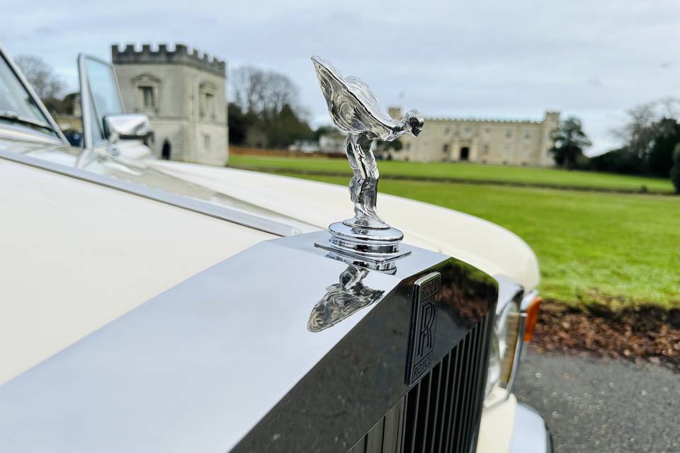 Front of car emblem