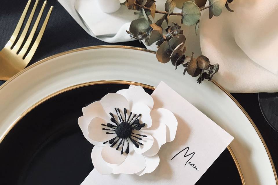 Anemone invitation collection