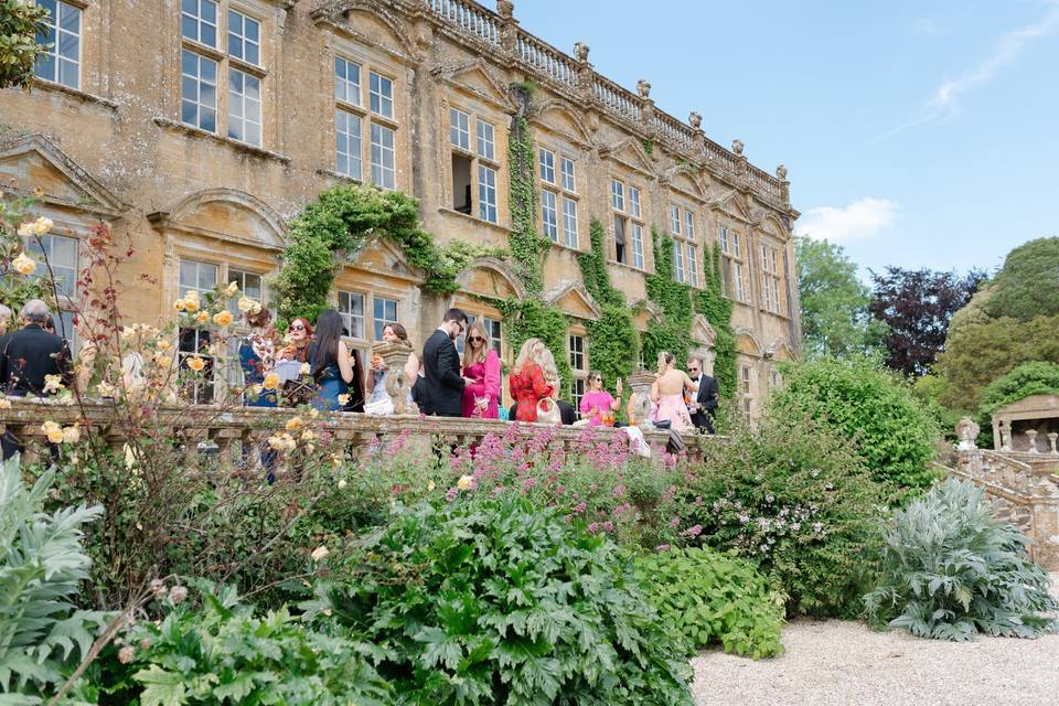 South Terrace Drinks