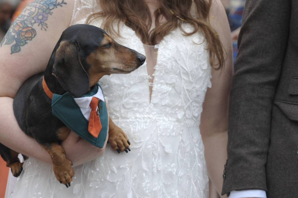 Bride and her dog