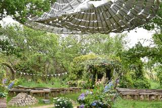 The Oak Grove