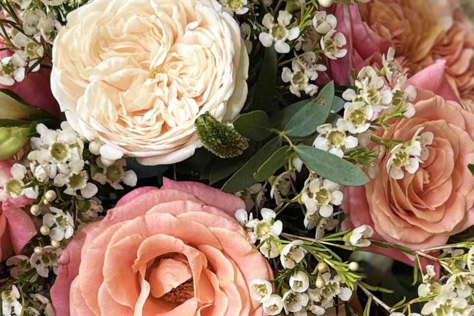VIP roses