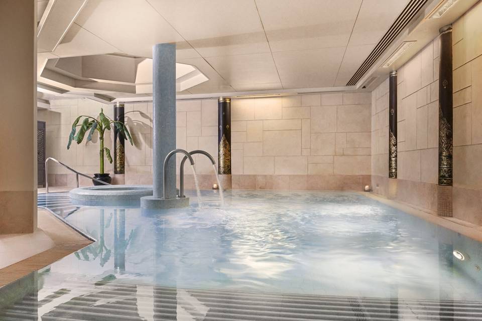 SenSpa Hydrotherapy Pool