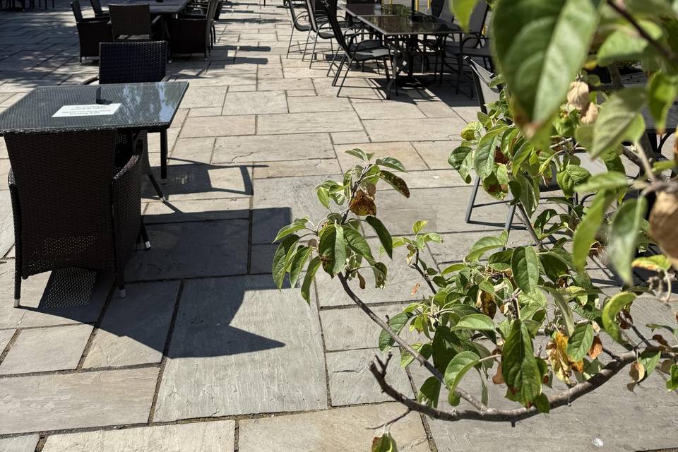 Rear terrace