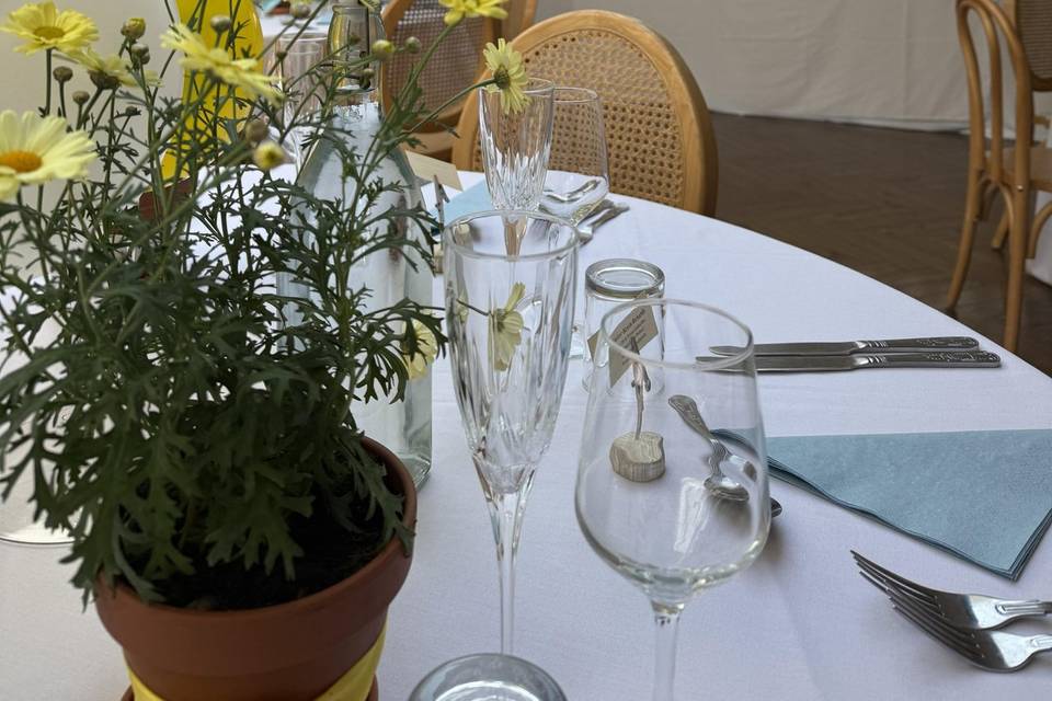 Table set ups