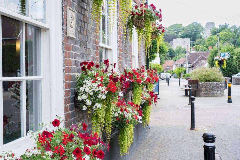 In full bloom