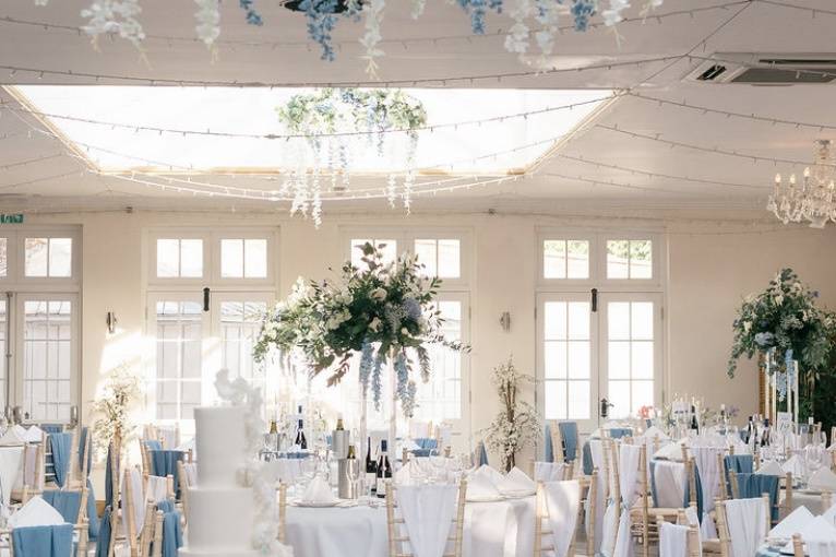 Blue and blue reception