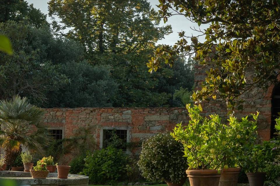 Tenuta I Bonsi