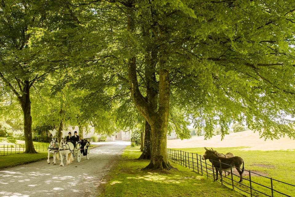 Clearwell Castle