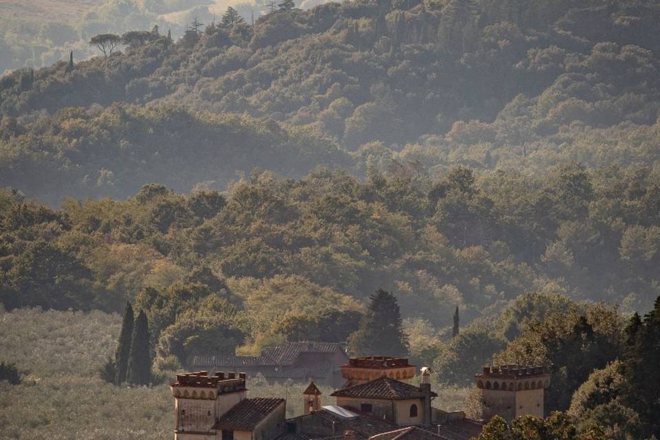 Tenuta I Bonsi