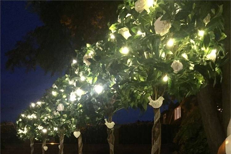 Romantic tree lights