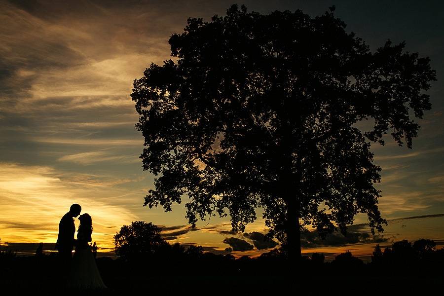 Sunset over a field