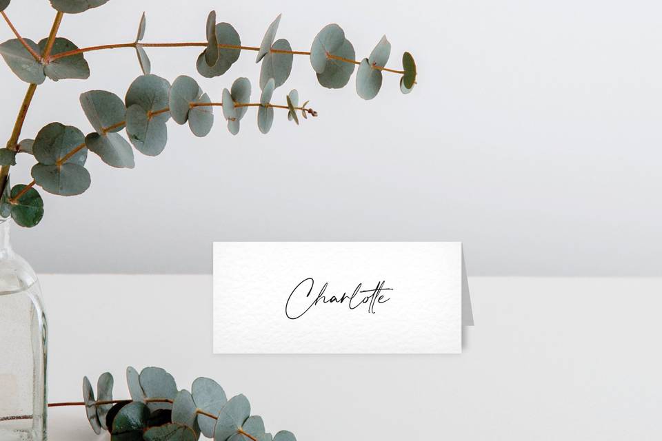 Charlotte place cards