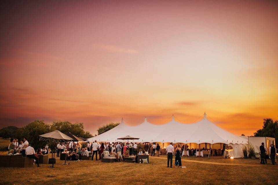 Reception under petal pole marquee