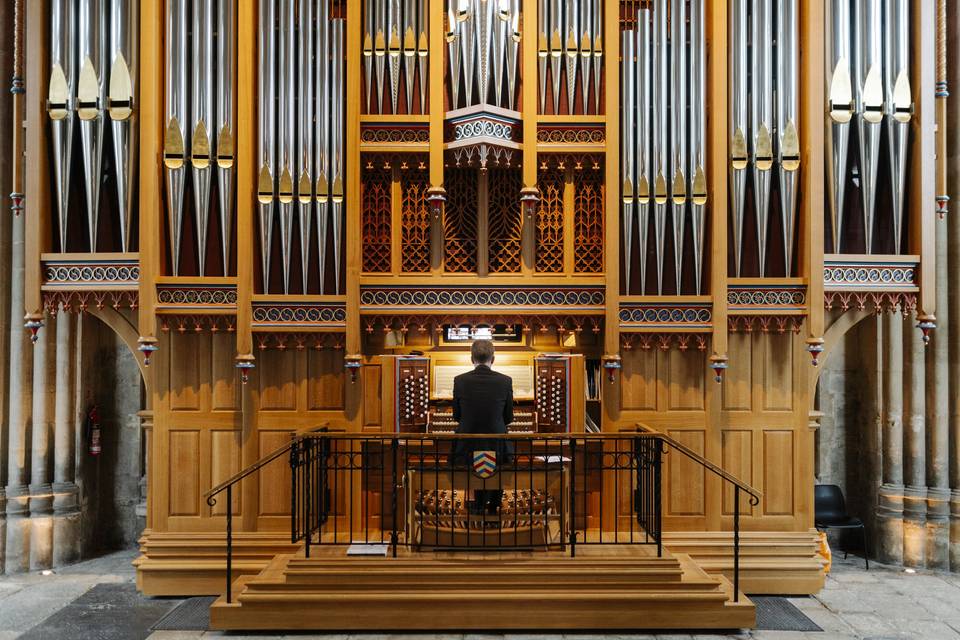 The Organist