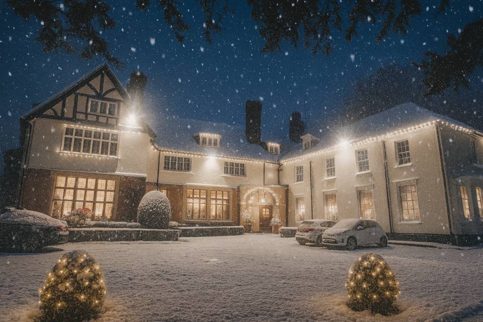 Greenwoods in Winter